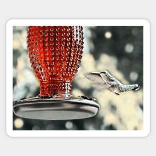 Hummingbird Red Feeder Sticker